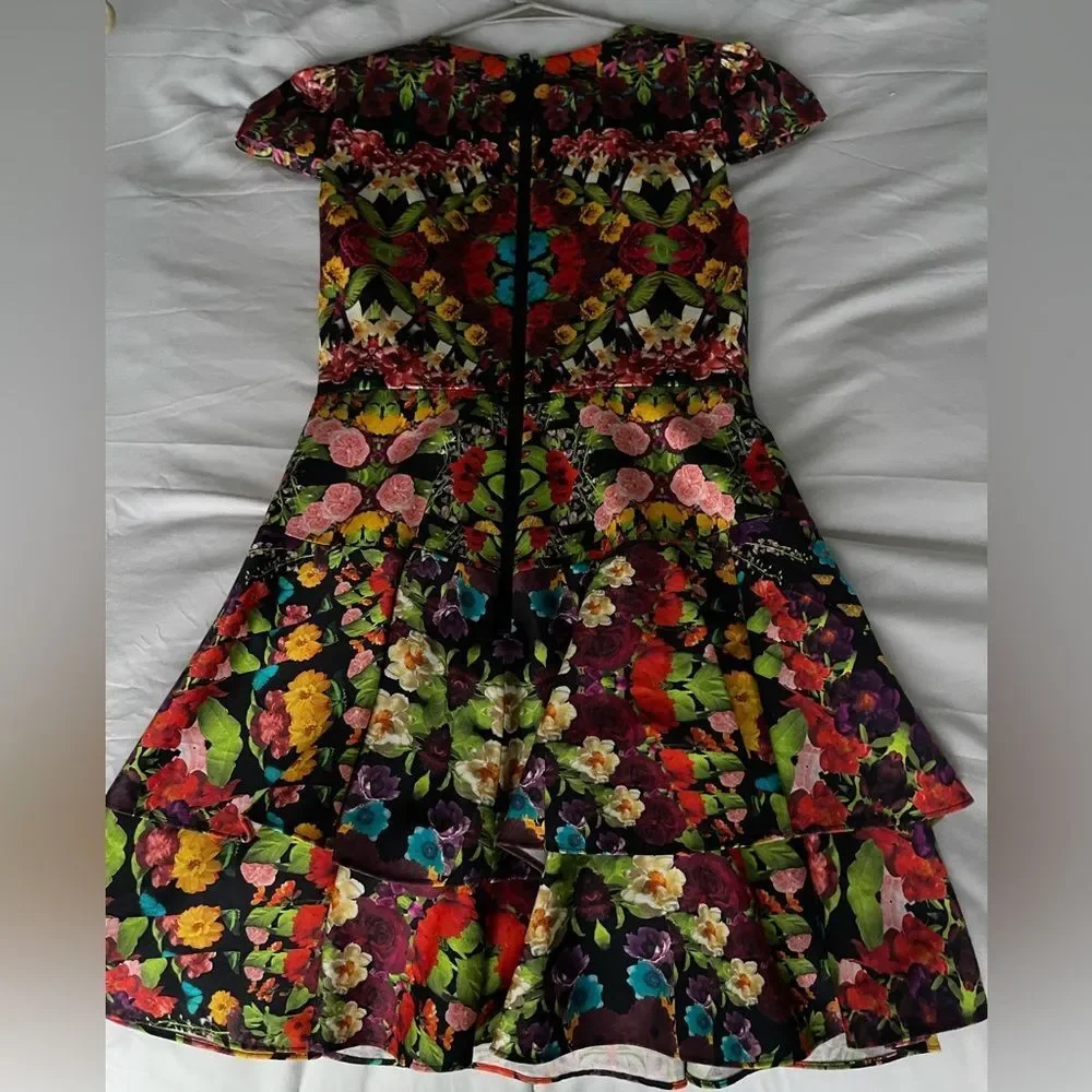 Adorable Alice + Olivia dress. Size 0 never worn - Picture 3 of 3